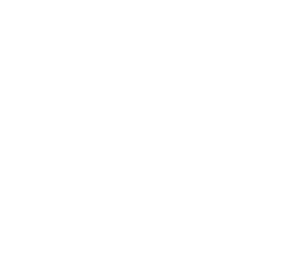 BBB Torch Awards for Ethics Winner