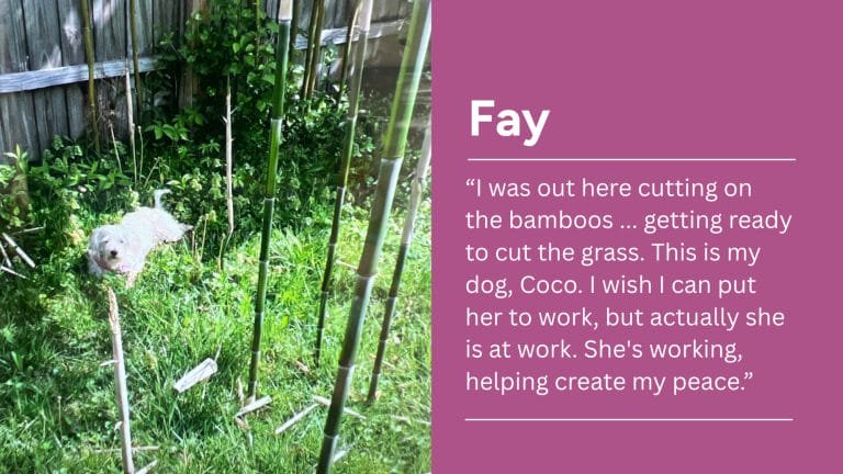Fay